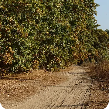 Fundacja i stowarzyszenie