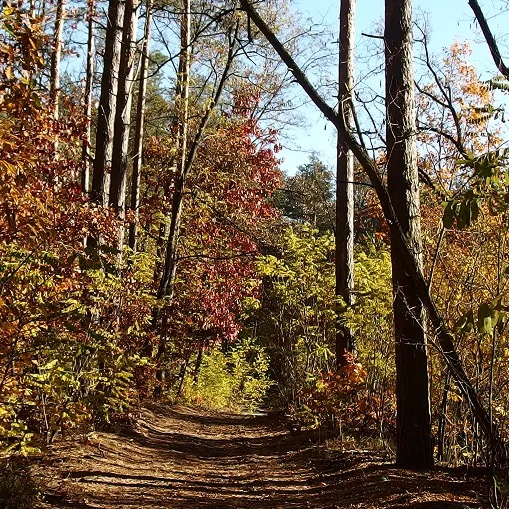 Chcesz się zapisać?